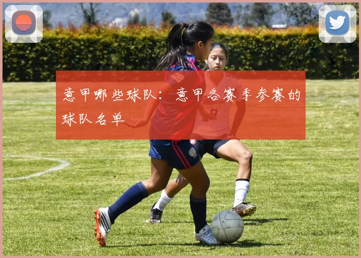 意甲哪些球队：意甲各赛季参赛的球队名单