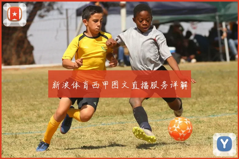 新浪体育西甲图文直播服务详解