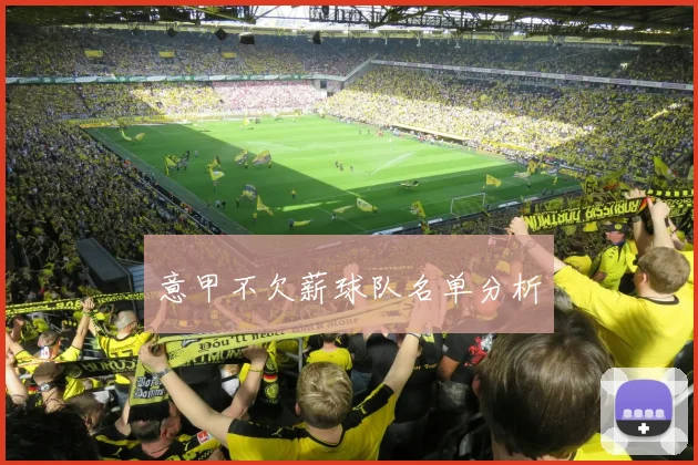 意甲不欠薪球队名单分析