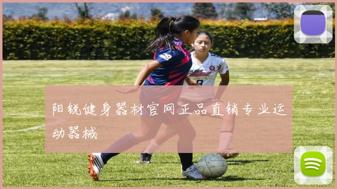 阳锐健身器材官网正品直销专业运动器械