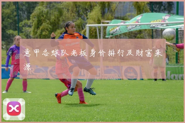 意甲各球队老板身价排行及财富来源